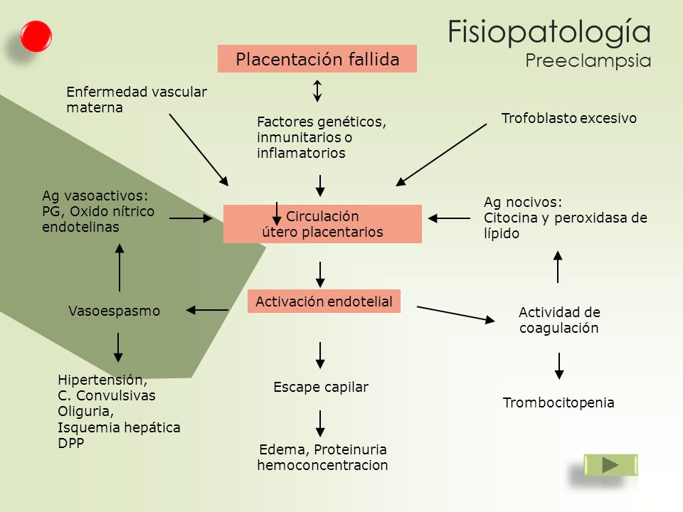 Proteinuria hipertensión embarazo ppt